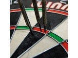 WINMAU SFB DARTBRD