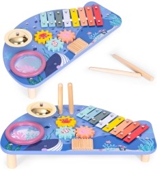 Instrument table music table dulcimer cymbal percussion cymbal grater marine theme ECOTOYS