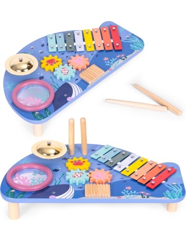 Instrument table music table dulcimer cymbal percussion cymbal grater marine theme ECOTOYS