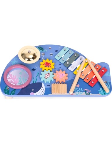 Instrument table music table dulcimer cymbal percussion cymbal grater marine theme ECOTOYS
