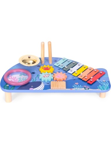 Instrument table music table dulcimer cymbal percussion cymbal grater marine theme ECOTOYS
