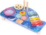 Instrument table music table dulcimer cymbal percussion cymbal grater marine theme ECOTOYS