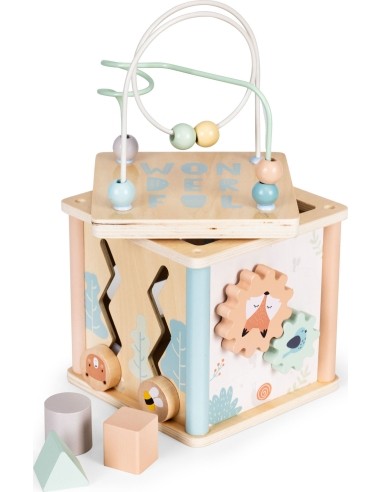 Wooden educational cube sorter blocks ECOTOYS