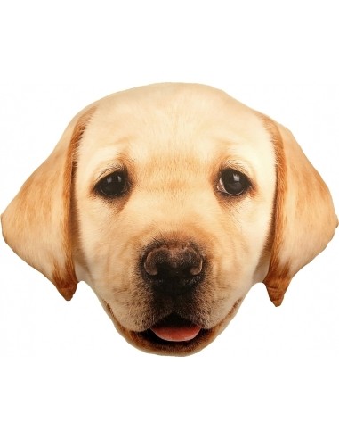 Splat Planet souvenir cushion LABRADOR