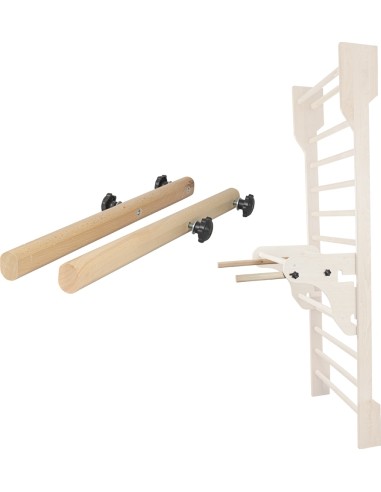 Parallel Bars for Wall Bars