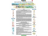 PlayMais EDUKACINĖS kortelės, GAMTA