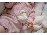 Rattle Ring JaBaDaBaDo Swan