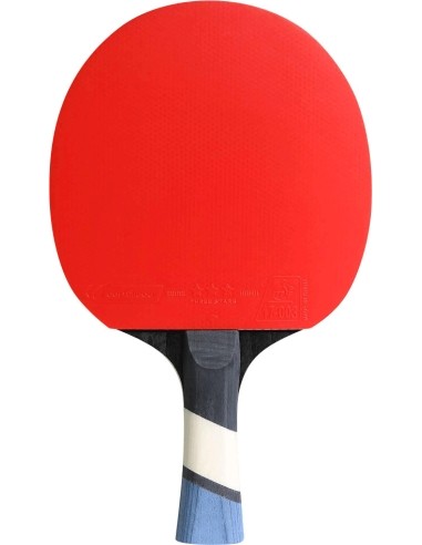 Cornilleau Atlikti 500