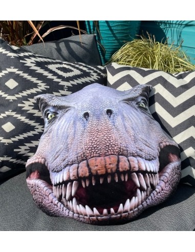 Splat Planet souvenir cushion DINOSAUR