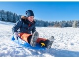 Plastikinės rogutės RollySnow Shark