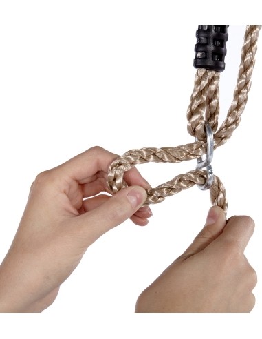 Double Wooden Swing Plum