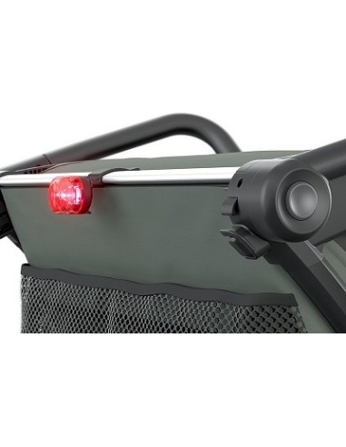 Multi-Sport Bike Trailer Thule Chariot Lite Agave Green, 2-seat