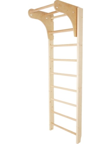 Gimnastikos sienelė su skersiniu prisitraukimams inSPORTline Steadyline, 250x90cm