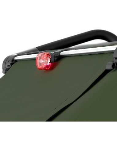 Multi-Sport Bike Trailer Thule Chariot Cab Aluminium/Cypress Green, 2-seat