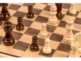Travel Chess Set Philos wood, magnetic 17 x 8.5 cm