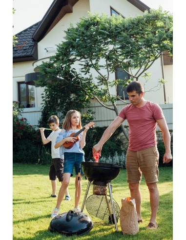 Vaikiškas medinis ukulelė 4 stygų ECOTOYS