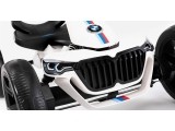 Go-kart BERG Reppy BMW