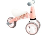 Toy Bike Ecotoys Flaming