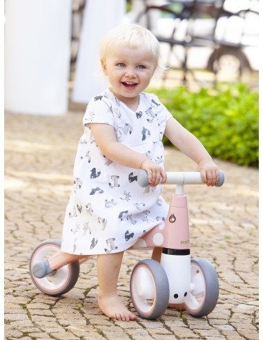 Toy Bike Ecotoys Flaming