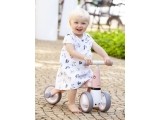 Toy Bike Ecotoys Flaming