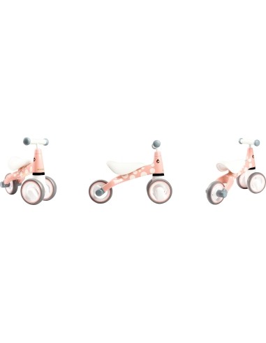 Toy Bike Ecotoys Flaming