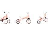 Toy Bike Ecotoys Flaming