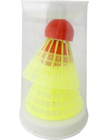 Talbot-Torro Beachminton set