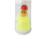 Talbot-Torro Beachminton set