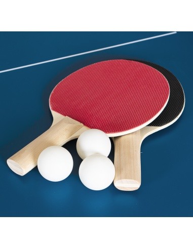 Table Tennis Table inSPORTline Sunny Mini