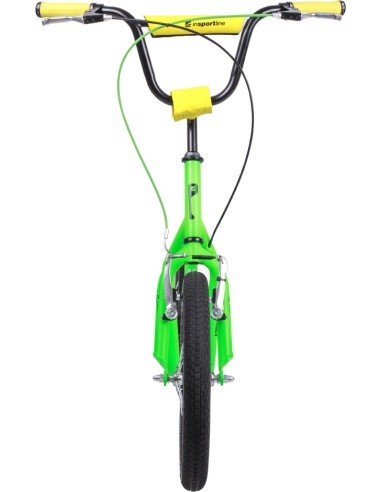 Kick Scooter inSPORTline Suter SE Green