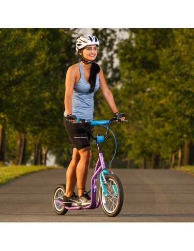 Kick Scooter inSPORTline Suter SE Green
