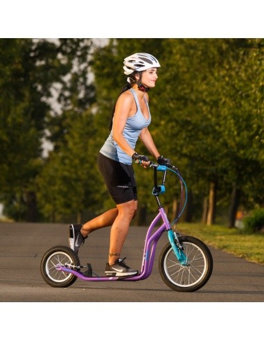 Kick Scooter inSPORTline Suter SE Green