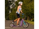 Kick Scooter inSPORTline Suter SE Green