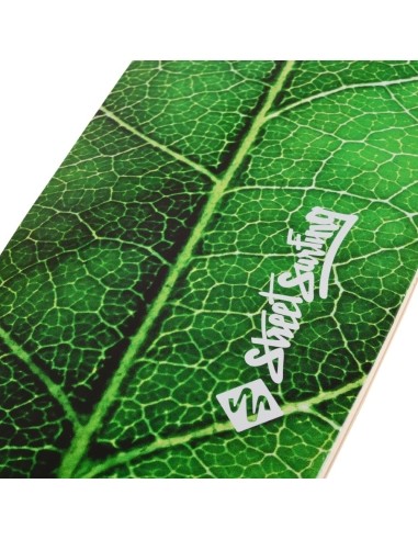 Longboard Street Surfing Fishtail – The Leaf 42”