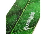 Longboard Street Surfing Fishtail – The Leaf 42”