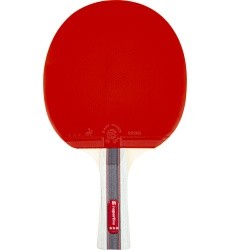 Stalo teniso raketė inSPORTline Shootfair S3