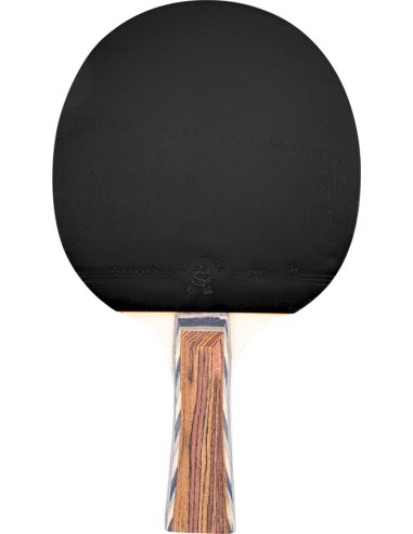 Table Tennis Paddle inSPORTline Shootfair S4