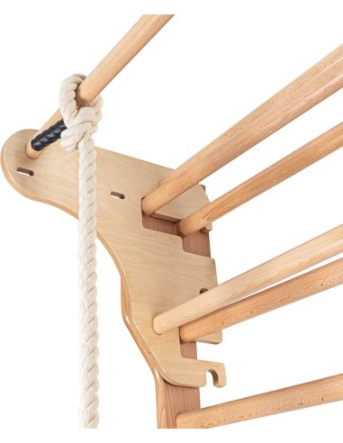 Hanging Swing for Wall Bars