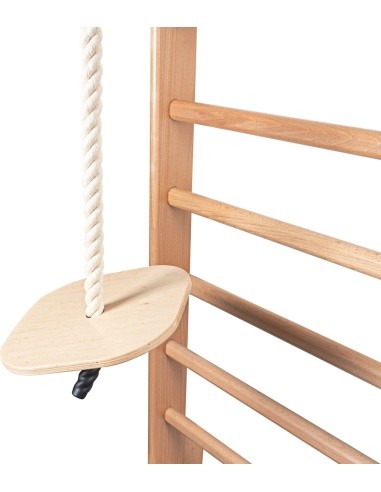 Hanging Swing for Wall Bars