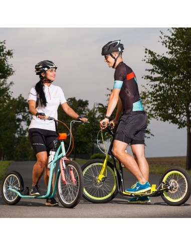 Kick Scooter inSPORTline Drogo SE Blue-Orange