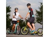 Kick Scooter inSPORTline Drogo SE Blue-Orange