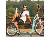 Kick Scooter inSPORTline Drogo SE Blue-Orange