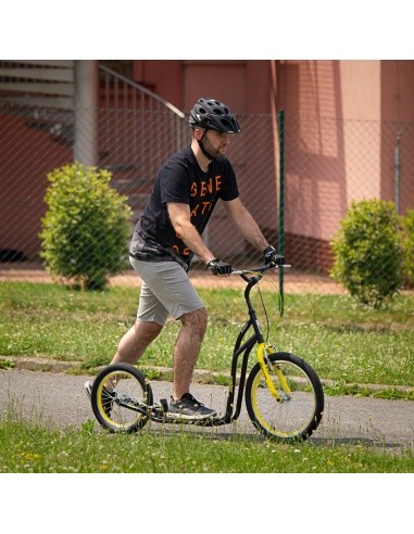 Kick Scooter inSPORTline Disparo V-Brake