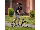 Paspirtukas inSPORTline Disparo V-Brake