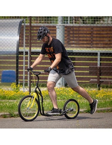 Paspirtukas inSPORTline Disparo V-Brake