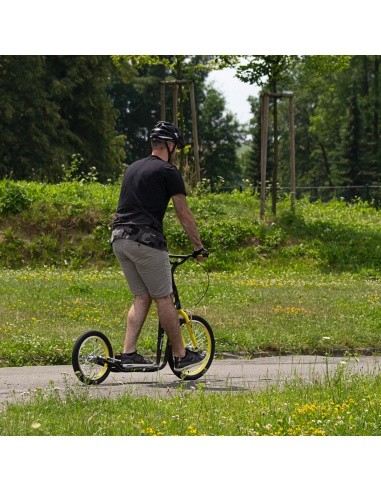 Kick Scooter inSPORTline Disparo V-Brake