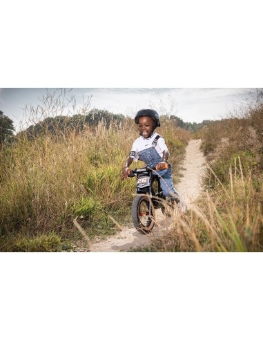 BERG Biky Trail Green Handbrake