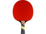 Cornilleau Excell 2000 Carbon