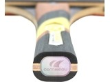 Cornilleau Excell 2000 Carbon