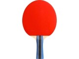 Cornilleau Sport 200